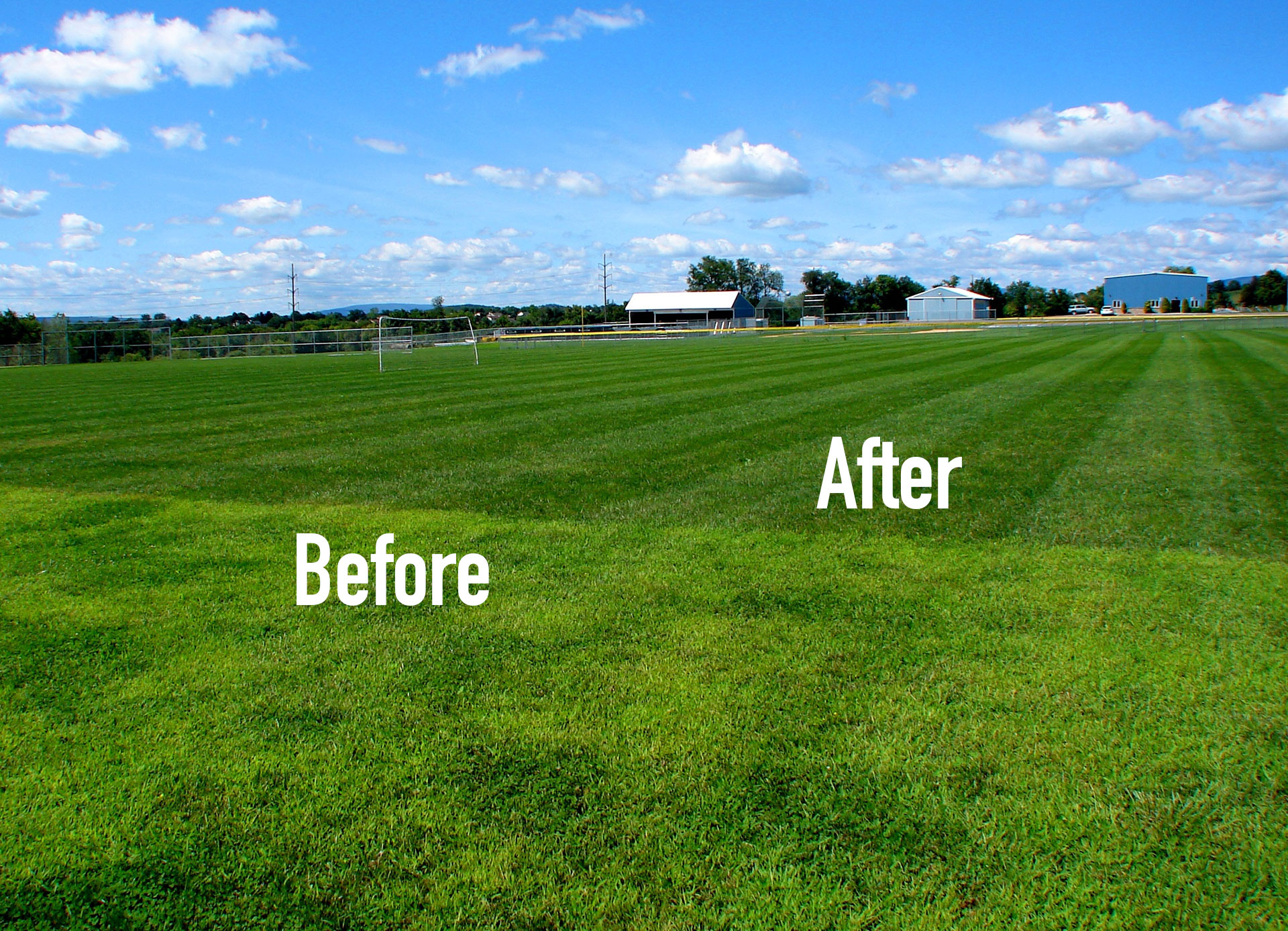 Mowing and Lawn Maintenance